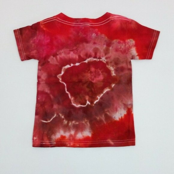Hand Dyed Tie Dye Tee Cotton Jersey  Shirt Kids 2T - Picture 2 of 3